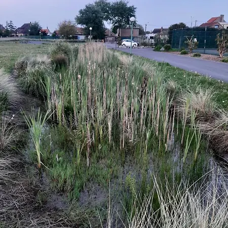 The Sweet Cocoon Де-Хаан